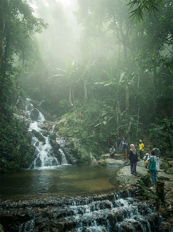 เชื่อมต่อกับธรรมชาติ