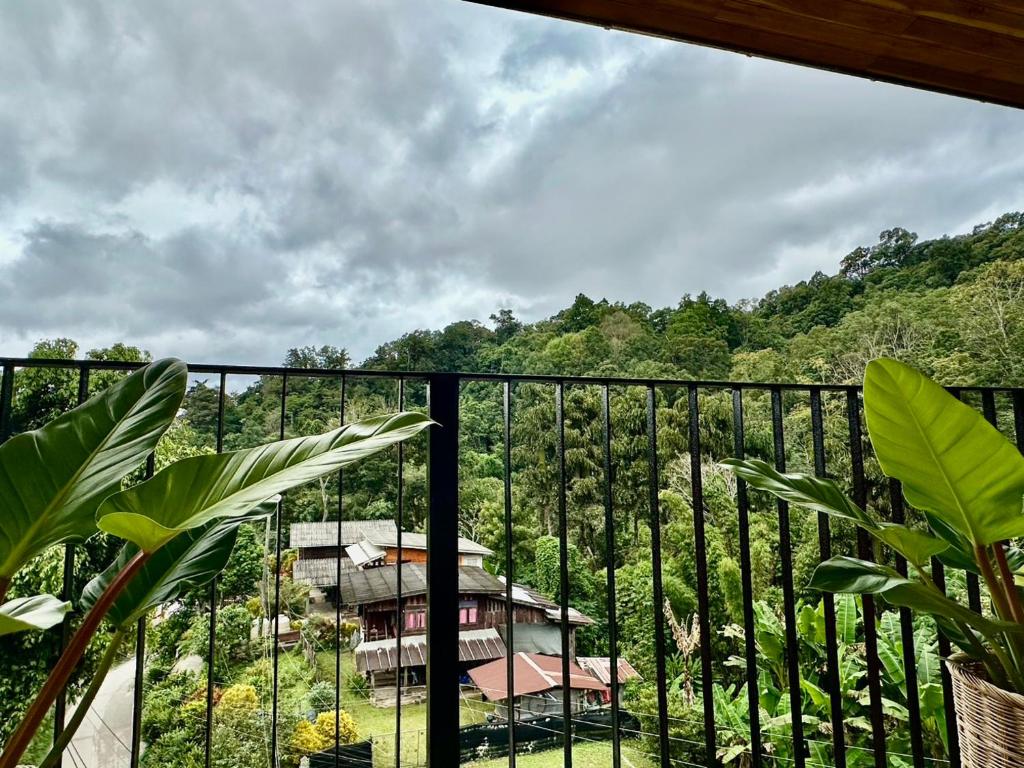 ห้องทริปเปิล thumbnail 12