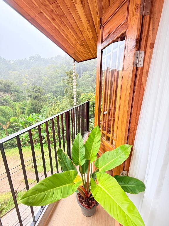 ห้องทริปเปิล thumbnail 5