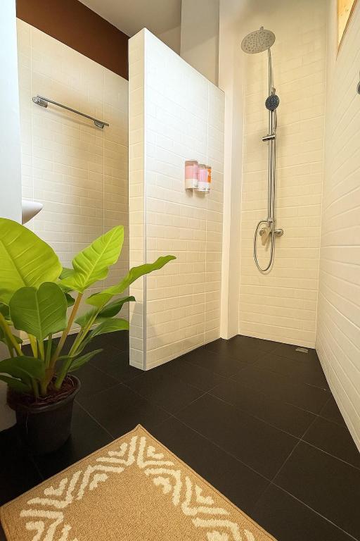 ห้องทริปเปิล thumbnail 6